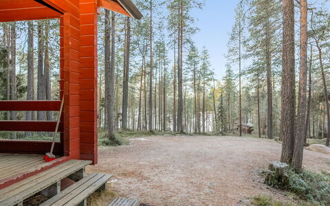 Viipusjärvi 12: Legna, Foresta, Woodland, Tronco, Boschetto, Log Cabin, Larice, Nord Foresta Di Latifoglie, Edifici Giardino