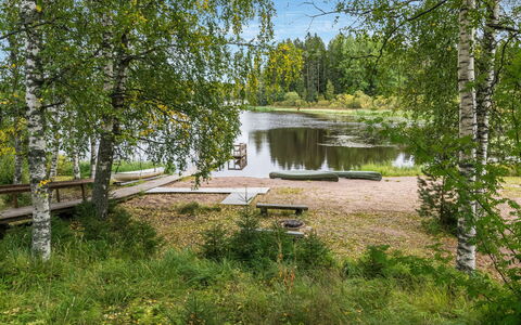 Koivuranta: Albero, Ambiente Naturale, Natura, Paesaggio Naturale, Banca, Comunita 'Impianto, Lago, Riserva Naturale