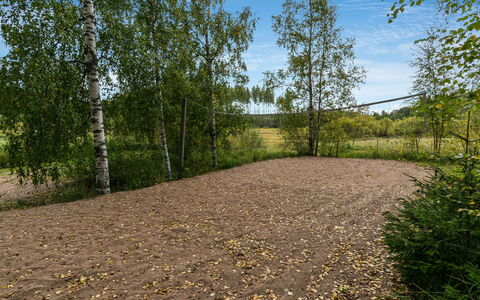 Koivuranta: Albero, Foglia, Ambiente Naturale, Erba, Paesaggio Naturale, Trail, Plain, Foresta, Suolo