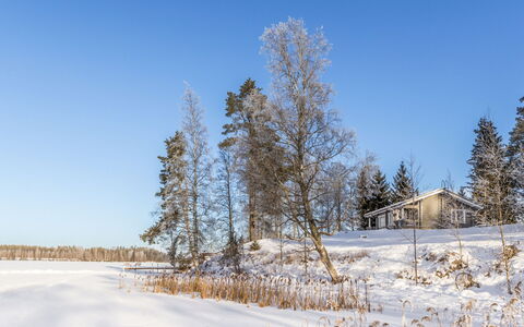 Iltarusko: Blu, Ramo, Albero, Inverno, Neve, Ramoscello, Paesaggio, Congelamento, Villetta, Mattina