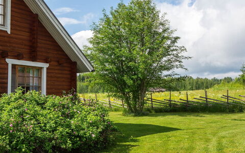 Ranta-Lemettilä: Casa, Villetta, Tetto, Estate, Shade, Agriturismo, Prato, Landscaping, Giardino, Cortile