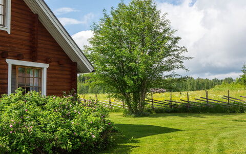 Ranta-Lemettilä: Verde, Foglia, Arbusto, Paesaggio, Lotto, Villetta, Casa, Giardino, Primavera, Groundcover