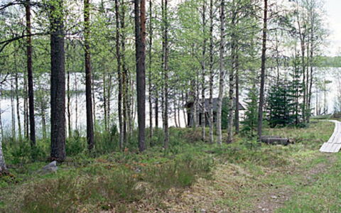 Mustikkainen: Casa, Villetta, Tetto, Estate, Shade, Agriturismo, Prato, Landscaping, Giardino, Cortile