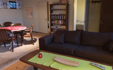 Vattomäki: Mobilia, Interior Design, Pavimentazione, Pavimento, Legna, Tavolo, Camera, Divano, Soggiorno, Illuminazione