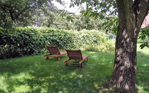 Pękowice: Natura, Verde, Paesaggio Naturale, Albero, Erba, Riserva Naturale, Mobilia, Banco, Botanica, Foglia