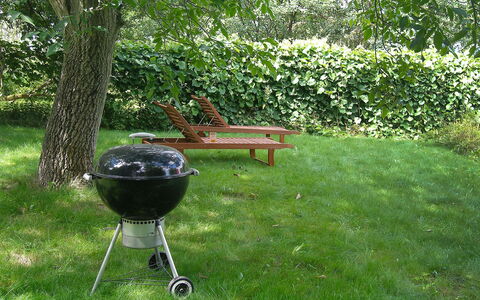 Pękowice: Barbecue, Griglia Per Barbecue, Erba, Prodotto, Cortile, Backyard, Giardino, Prato