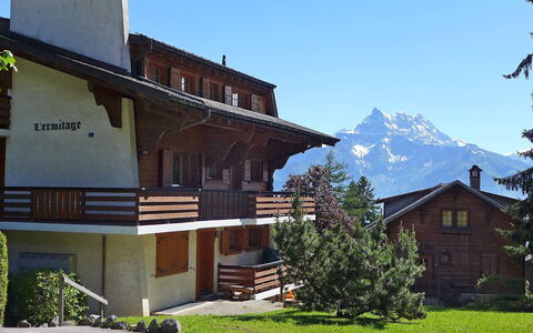 Villars 996: Pianta, Cielo, Costruzione, Finestra, Montagna, Casa, Albero, Lotto, Legna, Quartiere