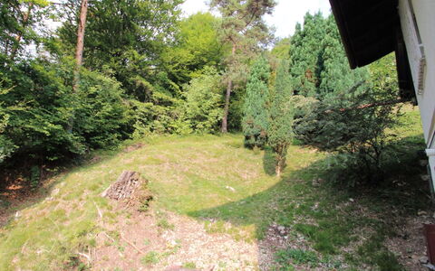 Rosemarie: Proprietà, Vegetazione, Verde, Albero, Erba, Ambiente Naturale, Riserva Naturale, Biome, Foresta, Lotto