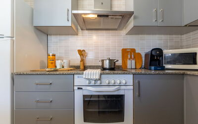 Gaviota 15