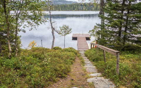 Rukatörmä, Kesäjärvi: Acqua, Corpo D'Acqua, Paesaggio Naturale, Banca, Natura Selvaggia, Lago, Dock, Foresta, Riserva Naturale, Serbatoio