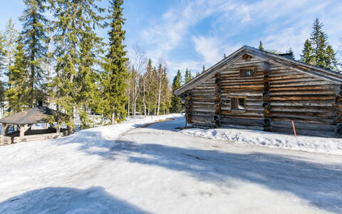 Seitsemän Savua 3: Legna, Villetta, Color Legno, Latifoglie, Log Cabin, Plank, Soffitto, Materiali Naturali, Legname, Edifici Giardino