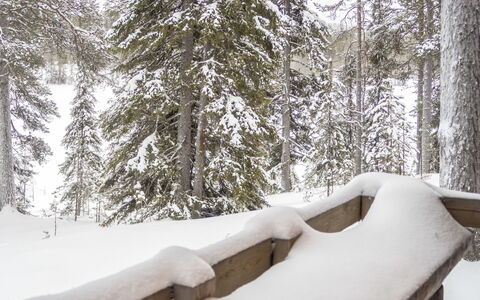 Saukkokumpu 3: Legna, Inverno, Neve, Casa, Villetta, Congelamento, Raccordo, Log Cabin, Ghiaccio