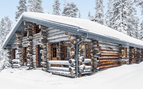Kuusiruka 10: Legna, Villetta, Log Cabin, Foresta, Capannone, Edifici Giardino, Larice, Woodland, Color Legno