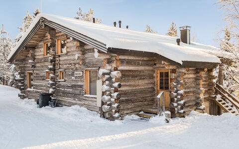 Rukajoiku 1: Legna, Villetta, Log Cabin, Foresta, Capannone, Edifici Giardino, Larice, Woodland, Color Legno