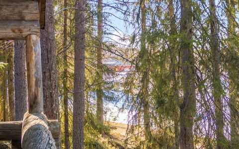 Retkietappi Kelopirtti: Albero, Ramo, Ambiente Naturale, Natura, Legna, Foglia, Foresta, Natura Selvaggia, Tronco, Comunita 'Impianto