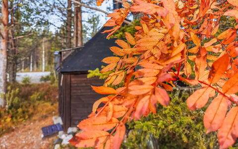 Salakolo 2: Legna, Inverno, Neve, Casa, Villetta, Congelamento, Raccordo, Log Cabin, Ghiaccio
