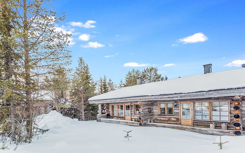 Karhunkaato As. C: Legna, Villetta, Log Cabin, Foresta, Capannone, Edifici Giardino, Larice, Woodland, Color Legno