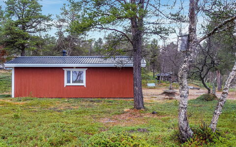 Mellaniemi: Legna, Villetta, Log Cabin, Foresta, Capannone, Edifici Giardino, Larice, Woodland, Color Legno