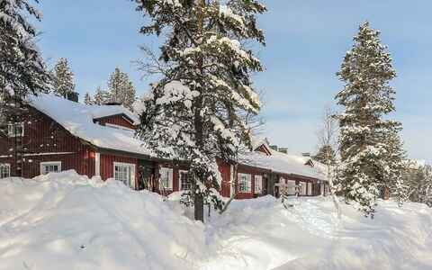 Soidinaukea B 20: Legna, Villetta, Log Cabin, Foresta, Capannone, Edifici Giardino, Larice, Woodland, Color Legno