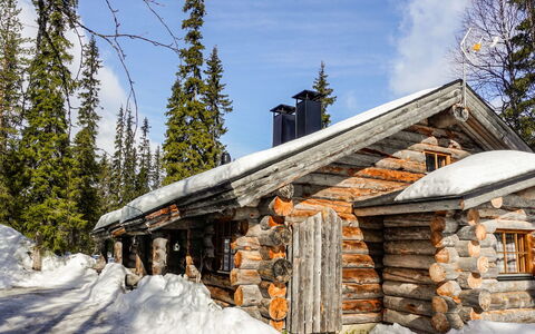 Kelo-Ville: Legna, Neve, Inverno, Villetta, Congelamento, Casa, Log Cabin, Larice, Raccordo