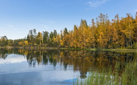 Harrila: Legna, Neve, Inverno, Villetta, Congelamento, Casa, Log Cabin, Larice, Raccordo