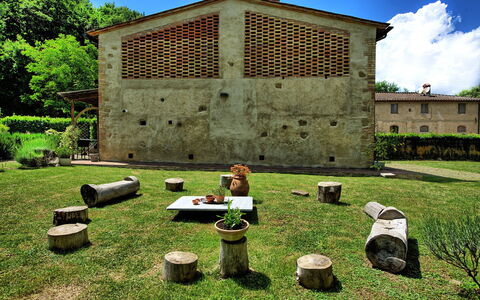 Villa Diletta: Erba, Verde, Albero, Lotto, Graminacee, Area Rurale, Architettura, Casa, Cortile, Giardino