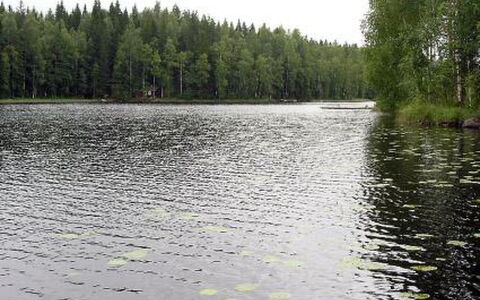 Aurinko: Legna, Neve, Inverno, Villetta, Congelamento, Casa, Log Cabin, Larice, Raccordo