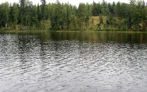 Aurinko: Legna, Neve, Inverno, Villetta, Congelamento, Casa, Log Cabin, Larice, Raccordo