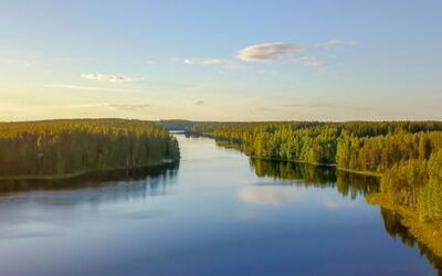 Aurinko