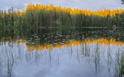Aurinko