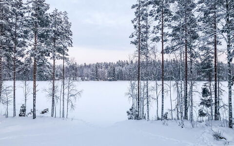 Inkeri: Legna, Neve, Inverno, Villetta, Congelamento, Casa, Log Cabin, Larice, Raccordo