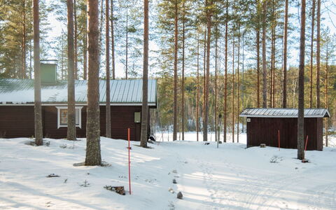 Aittolahti 2: Legna, Villetta, Log Cabin, Foresta, Capannone, Edifici Giardino, Larice, Woodland, Color Legno