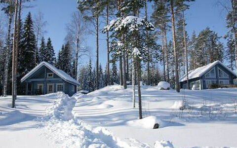 Safiiri: Legna, Neve, Inverno, Villetta, Congelamento, Casa, Log Cabin, Larice, Raccordo
