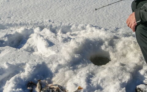 Huljakka: Legna, Neve, Inverno, Villetta, Congelamento, Casa, Log Cabin, Larice, Raccordo