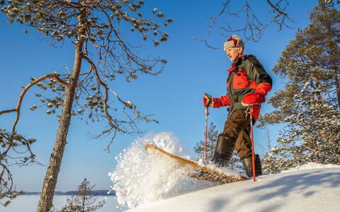 Huljakka: Legna, Neve, Inverno, Villetta, Congelamento, Casa, Log Cabin, Larice, Raccordo