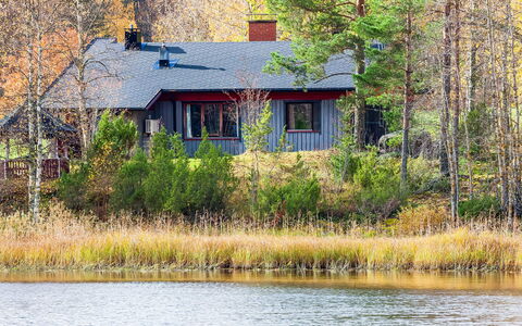 Viehko: Legna, Villetta, Log Cabin, Foresta, Capannone, Edifici Giardino, Larice, Woodland, Color Legno