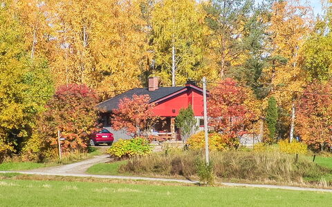 Viehko: Legna, Villetta, Log Cabin, Foresta, Capannone, Edifici Giardino, Larice, Woodland, Color Legno