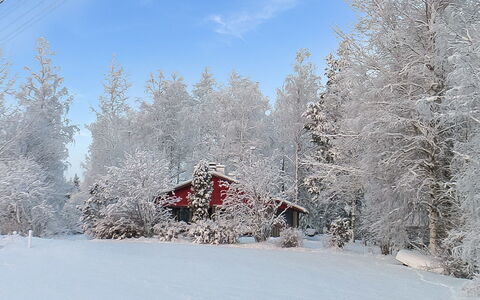 Viehko: Legna, Villetta, Log Cabin, Foresta, Capannone, Edifici Giardino, Larice, Woodland, Color Legno