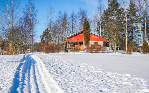 Viehko: Legna, Villetta, Log Cabin, Foresta, Capannone, Edifici Giardino, Larice, Woodland, Color Legno