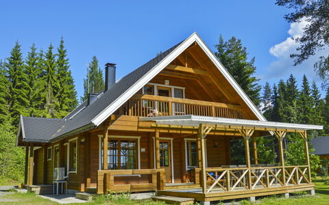 Rinnepelto: Legna, Villetta, Log Cabin, Foresta, Capannone, Edifici Giardino, Larice, Woodland, Color Legno