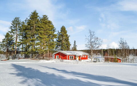 Ellilä: Albero, Neve, Inverno, Legna, Ramo, Tetto, Villetta, Casa, Casa, Congelamento