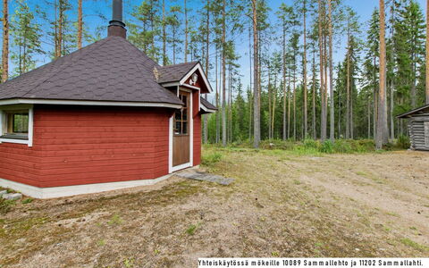Sammallehto: Legna, Villetta, Log Cabin, Foresta, Capannone, Edifici Giardino, Larice, Woodland, Color Legno
