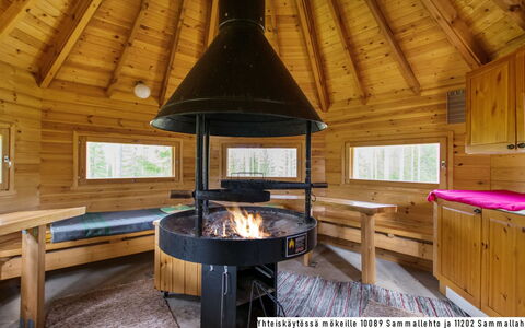 Sammallehto: Legna, Villetta, Log Cabin, Foresta, Capannone, Edifici Giardino, Larice, Woodland, Color Legno