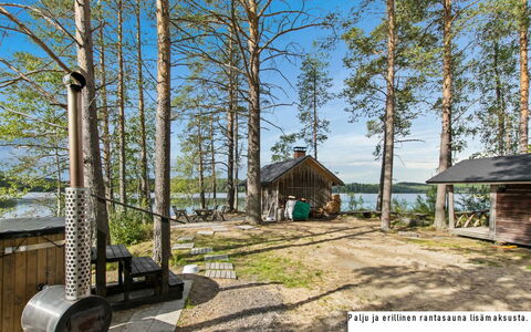Sammallehto: Legna, Villetta, Log Cabin, Foresta, Capannone, Edifici Giardino, Larice, Woodland, Color Legno