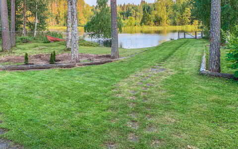 Majavanpesä: Erba, Arbusto, Giardino, Lotto, Prato, Groundcover, Landscaping, Cortile