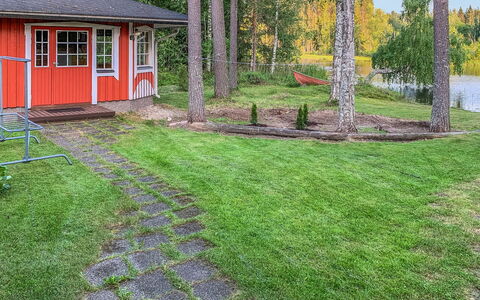 Majavanpesä: Erba, Giardino, Arbusto, Lotto, Prato, Backyard, Groundcover, Villetta, Landscaping