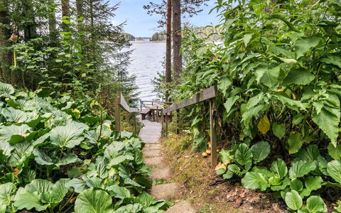 Iltarusko: Verde, Giardino, Stagno, Bosco Ripariale, Piante Vascolari, Erba
