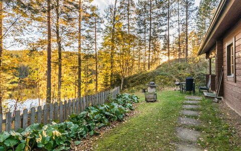 Suvituuli: Foglia, Legna, Arbusto, Lotto, Villetta, Tronco, Primavera, Woodland, Giardino, Larice