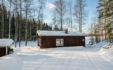 2235: Legna, Villetta, Log Cabin, Foresta, Capannone, Edifici Giardino, Larice, Woodland, Color Legno