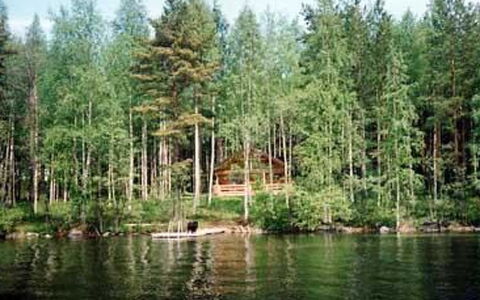 5816: Acqua, Risorse Idriche, Corpo D'Acqua, Albero, Ambiente Naturale, Natura, Waterway, Foresta, Banca, Alveo